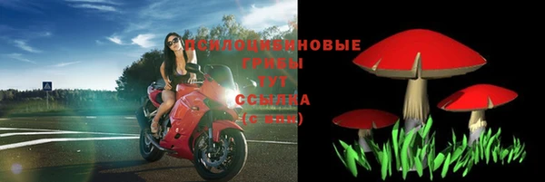 хмурый Богородск