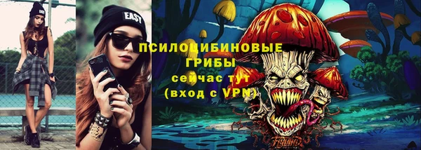 хмурый Богородск